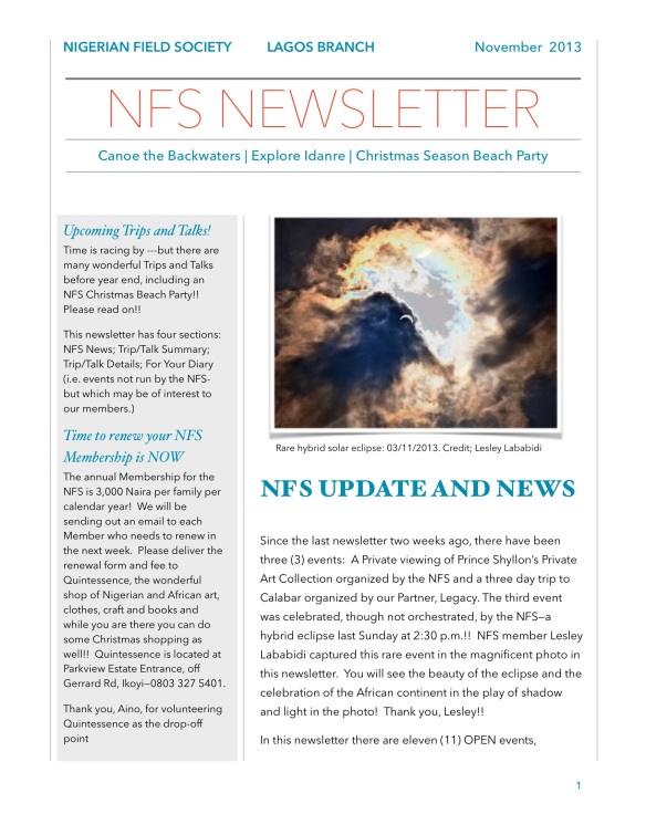 NFS Newsletter Nov 2013 _publish-3-001